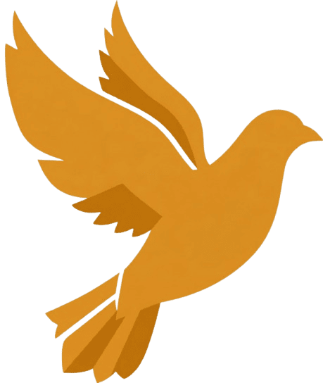 Aniss Itaoui - Développeur service Lead Gen